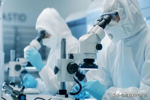 新加坡國立大學 工程學院碩士